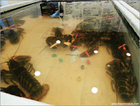 Peceras de Langostas en Brown's Lobster Pound, New Hampshire