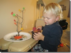 29mo 008