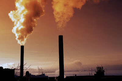 effects of air pollution on environment in points, effects of air pollution in points, how does air pollution affect the environment, air pollution causes and effects, effects of air pollution on plants, what is air pollution, effects of air pollution on human health, air pollution solutions, air pollution articles for students