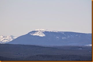 IMG_8286