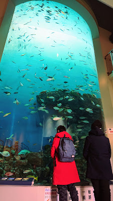 北海道 登別マリンパークニクス