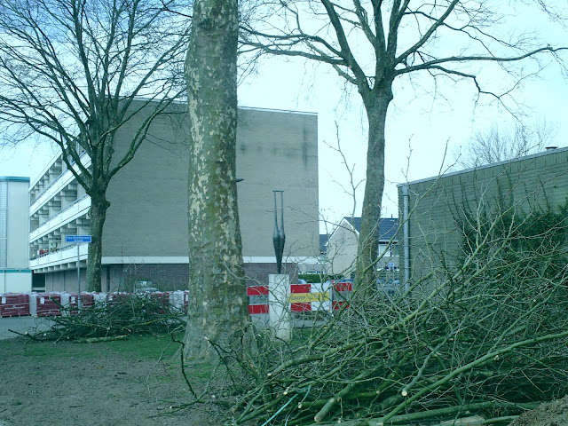 'Engeveld, Zevenaar, maart 2018. Foto genomen met een Bonzart Ampel, stand REF, door Robert van der Kroft