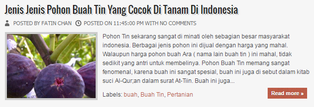  Jenis Tin Yang Cocok di Tanaman di Indonesia