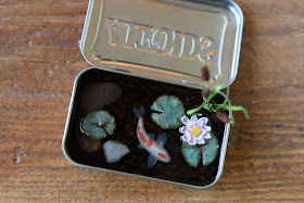 Koi fish pond in Altoids tin