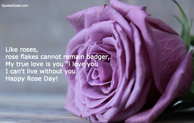 Rose Day image