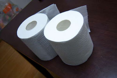 Toilet Paper Roll Prank for April Fools Day Seen On www.coolpicturegallery.us