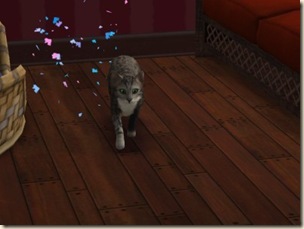 snapshot_f97c0402_79ccce09