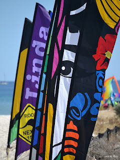 beach flags