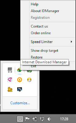 Internet Download Manager v6.18 Build 7