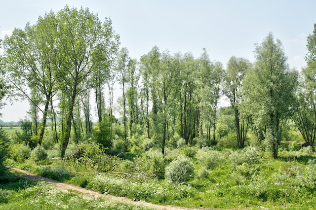 Zicht vanaf de terp, Oud-Zevenaar, foto Robert van der Kroft