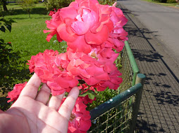 FLORES PARA VITORIA MACHADO