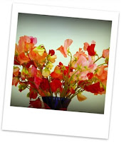 sweetpeas, Polaroid