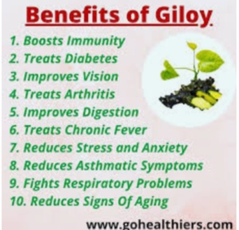 Giloy it's benefits,Giloy stem and its health benefits, Giloy and Its Amazing benefits, Giloy videos, Benefits of Giloy,