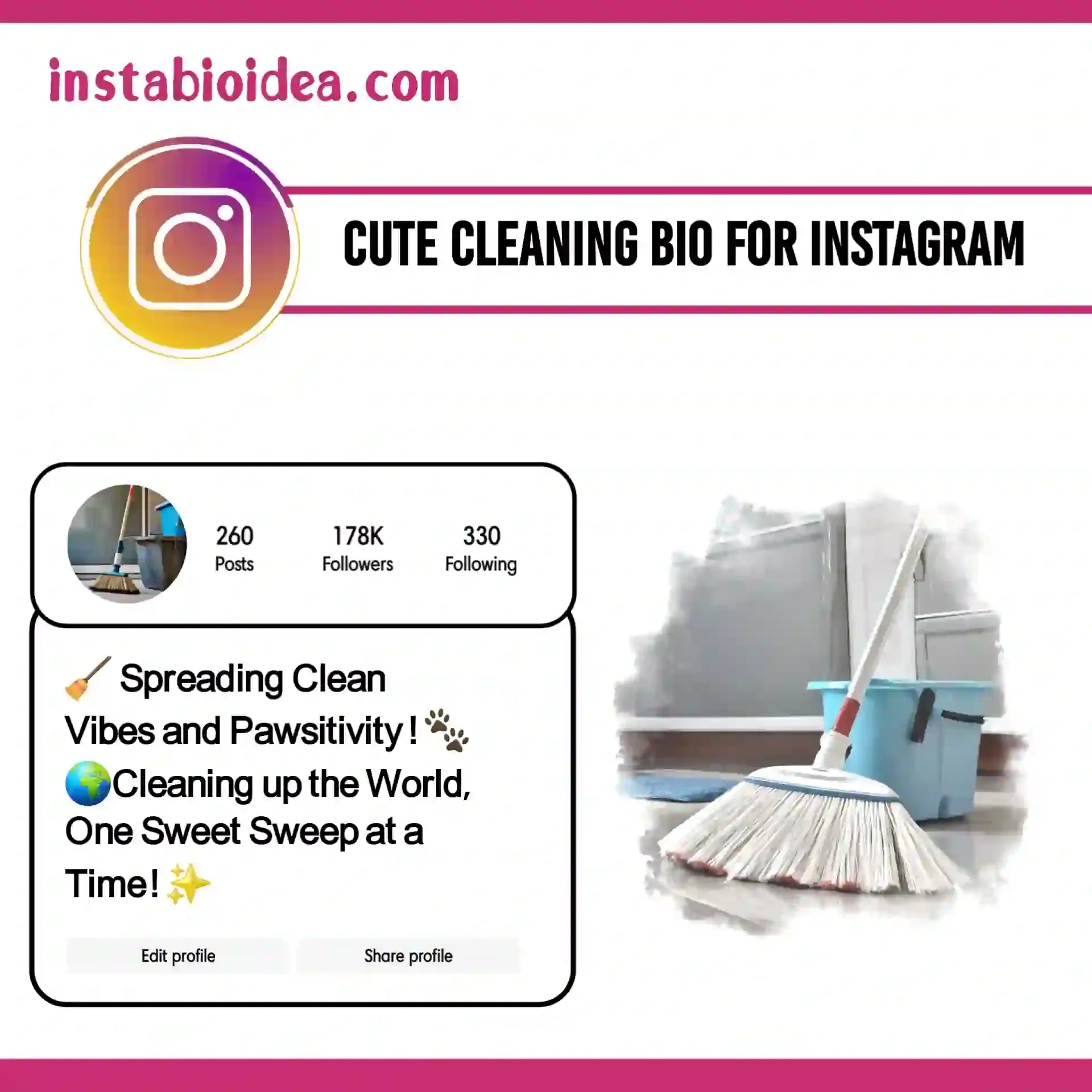 cute cleaning bio for instagram image