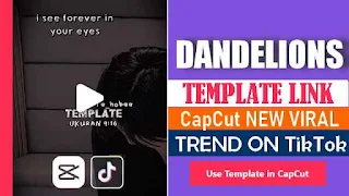 Dandelions CapCut Template Link 2023