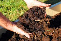 Soil (Credit: civileats.com) Click to Enlarge.