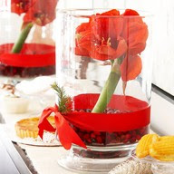 Centerpiece with amaryllis and cranberries