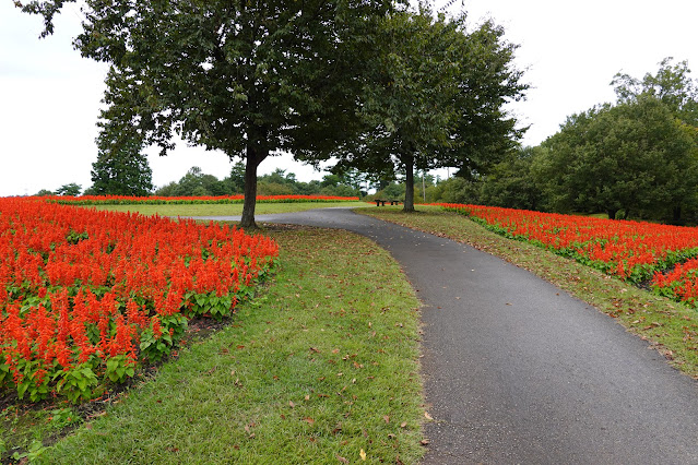 鳥取県西伯郡南部町鶴田　とっとり花回廊　花の丘