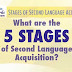 Second-language acquisition