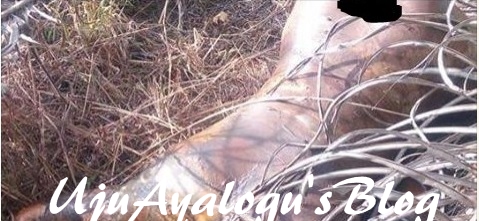 Beheaded woman found in Imo bush with vagina, breasts missing [ GRAPHIC PHOTOS]