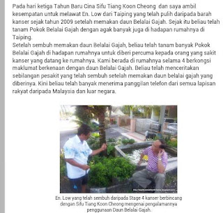 Petua Orang Tua: Pokok Belalai Gajah