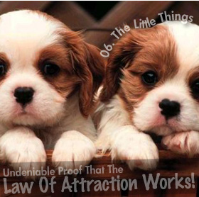 Undeniable Proof That The Law Of Attraction Works: Little Things