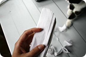 DIY tissue poms