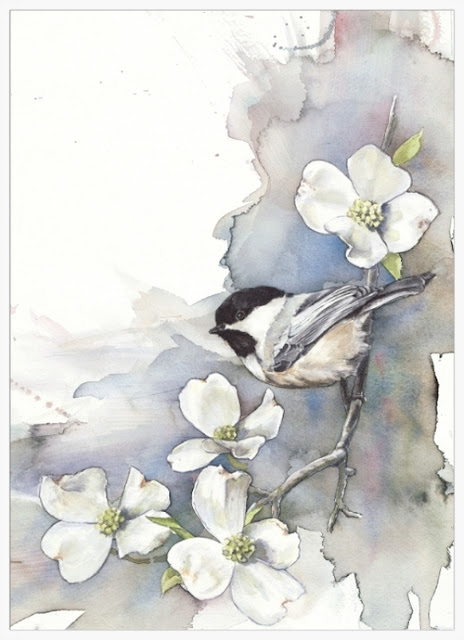 birds watercolor paintings