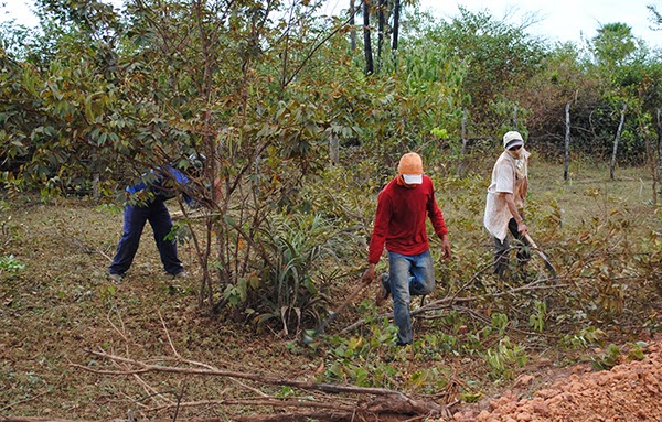  Prefeitura de Cocal initensifica os serviços de recuperação e roço das estradas vicinais