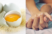  Hasilnya Diluar Nalar, Manfaat Telur Ayam kampung dicampur Madu