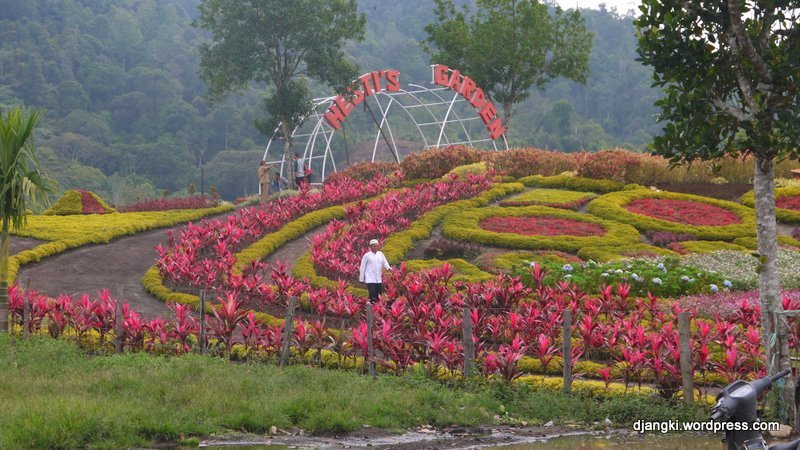 Ini Nih Taman  Bunga  yang Lagi Hits di Jambi  visi jambi 