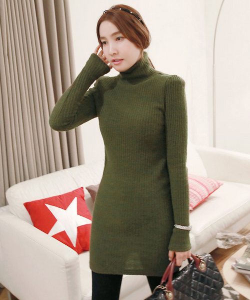 Rib Knit Turtleneck Dress