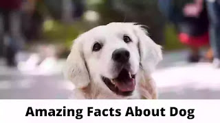 Amazing facts in hindi about dog