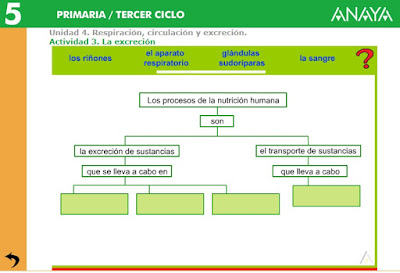 http://www.ceiploreto.es/sugerencias/A_1/Recursosdidacticos/QUINTO/datos/02_Cmedio/datos/05rdi/ud04/03.htm