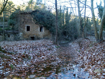 El Molí de la Codina