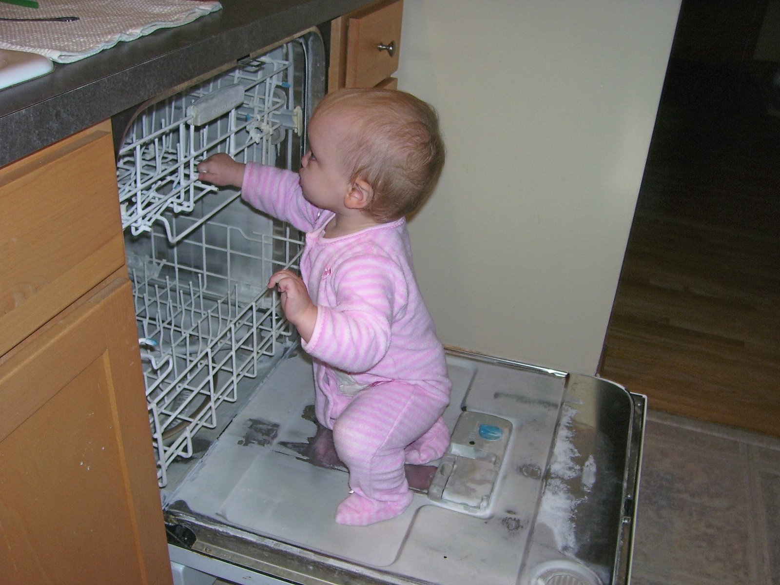 Dish Washer Drawer