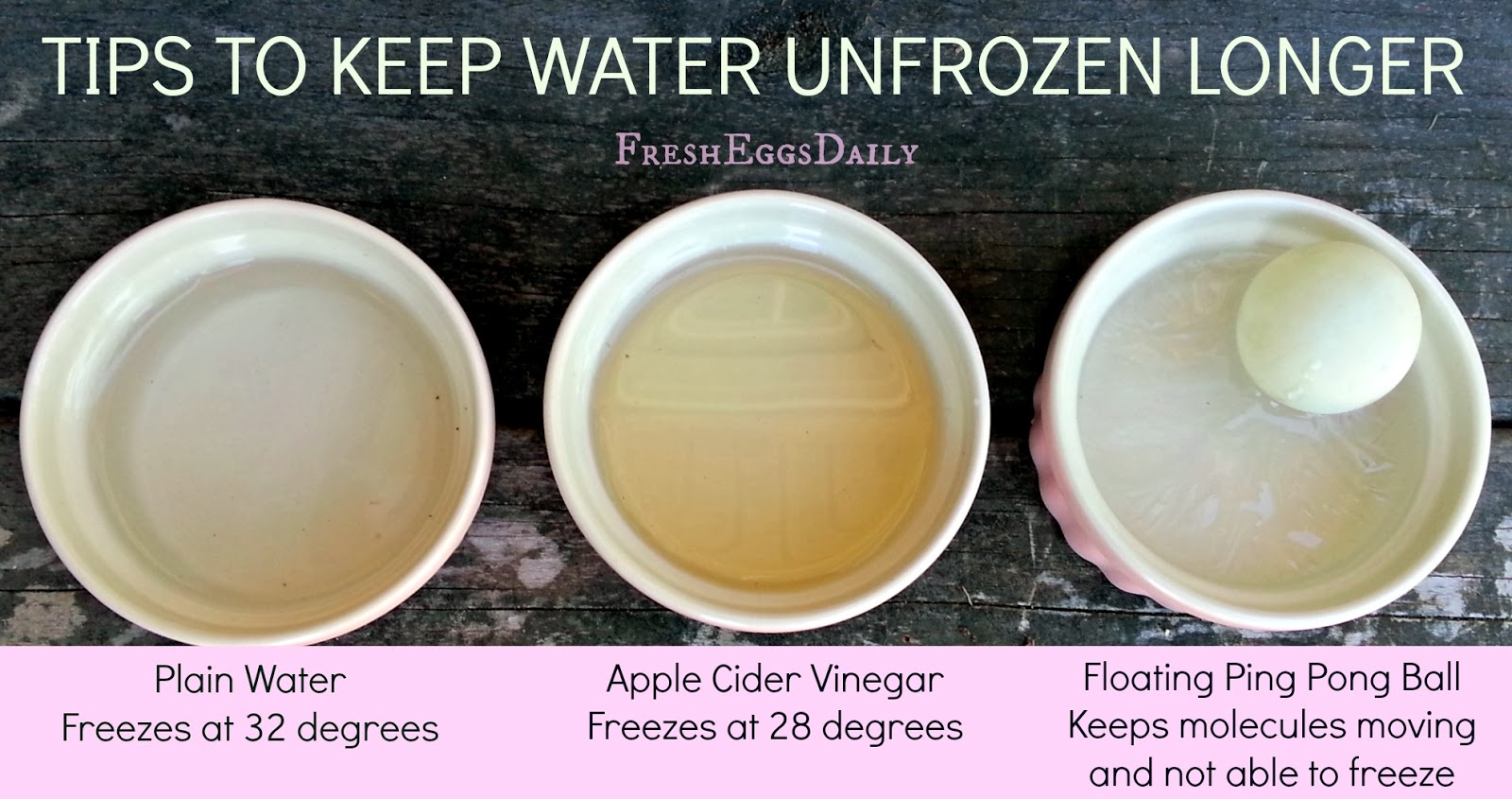 How to keep drinking water from freezing
