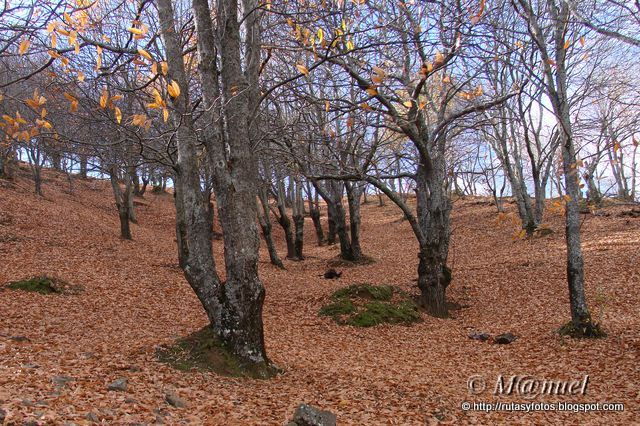 Castañares de Pujerra e Igualeja