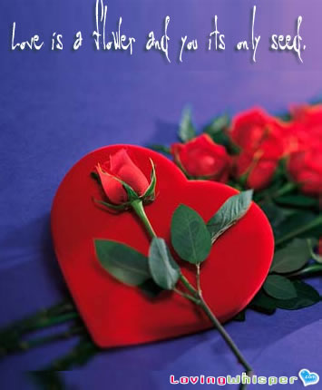 Love Quotes  Cards on Mis Carriage  Love   Khalil Gibran