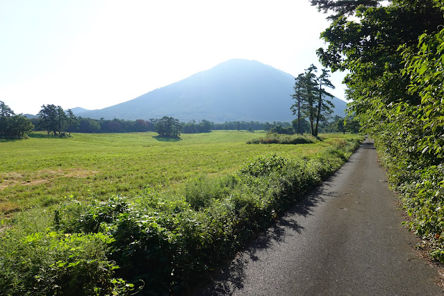 鳥取県西伯郡伯耆町小林　だいせん牧場　大山の眺望