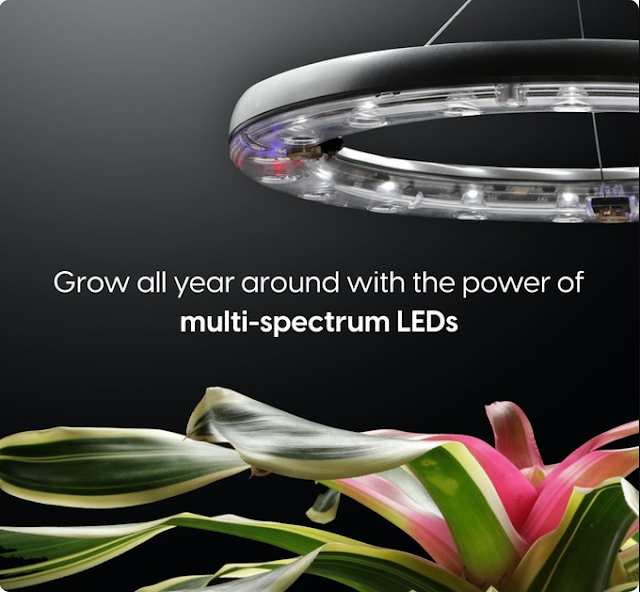 The Best Indoor Plant Lighting Solution for Your Space