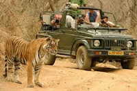 Ranthambhore National Park