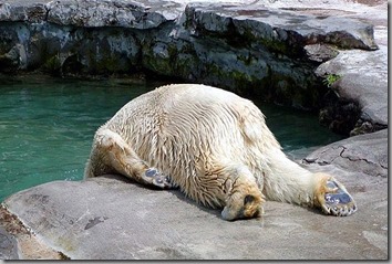 morning after 1