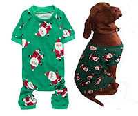 Cute Holiday Dog Clothes and Accessories.