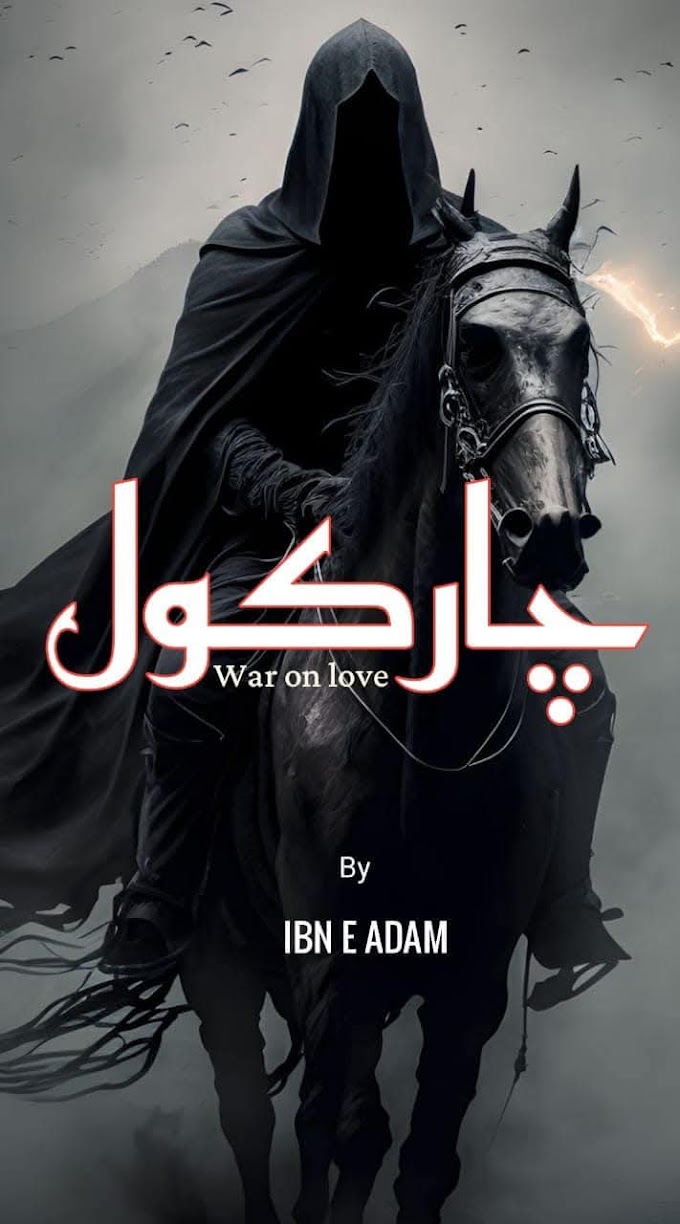 Chapter 2 Charcoal By Ibn e Adam Complete Free Download