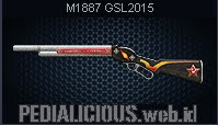 M1887 GSL 2015