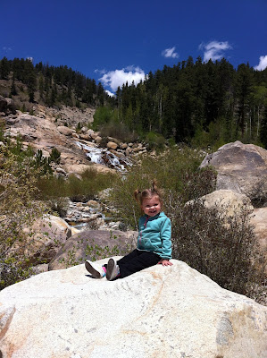 Alluvial Fan Trail, Rocky Mountain National Park, Estes Park, CO #Colorado #ColorfulColorado www.thebrighterwriter.blogspot.com