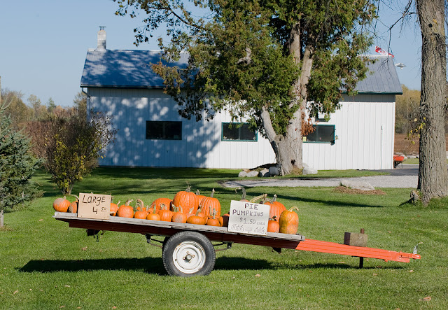 A farm trailer loaded with pumpkins for sale in the autumn.