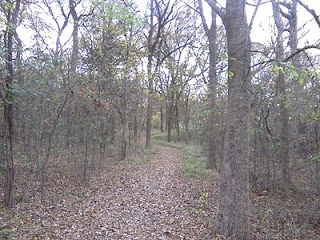 Hiking trail in the park