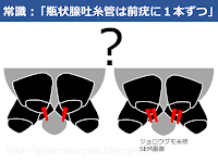 画像無し